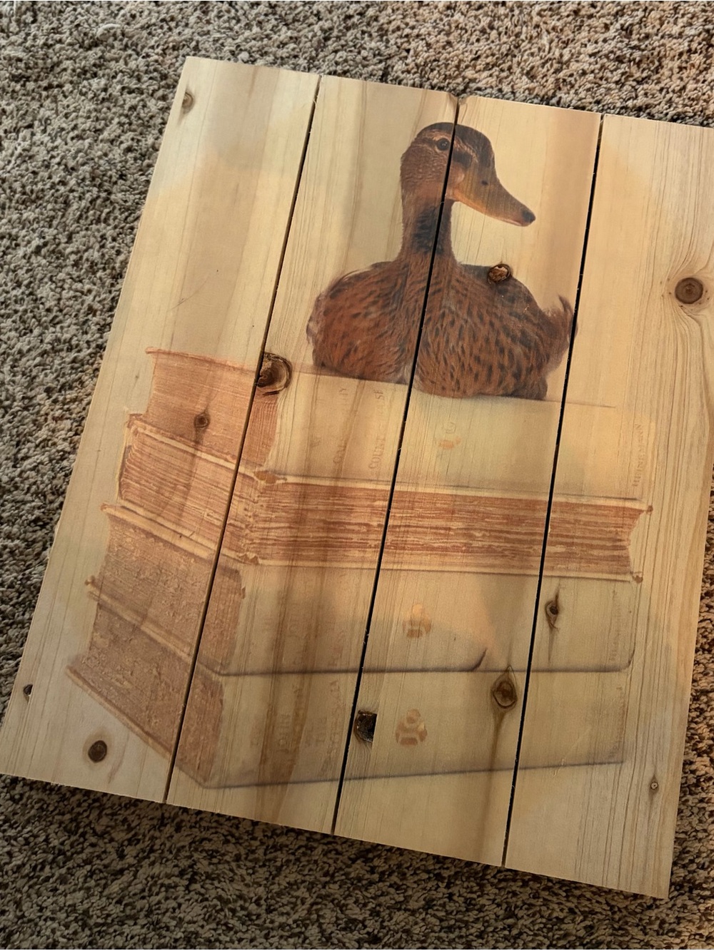 Rustic Brown Duck on Books Wood Wall Art